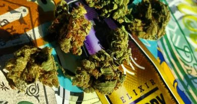 true og by riverview farms strain review by sjweedreview