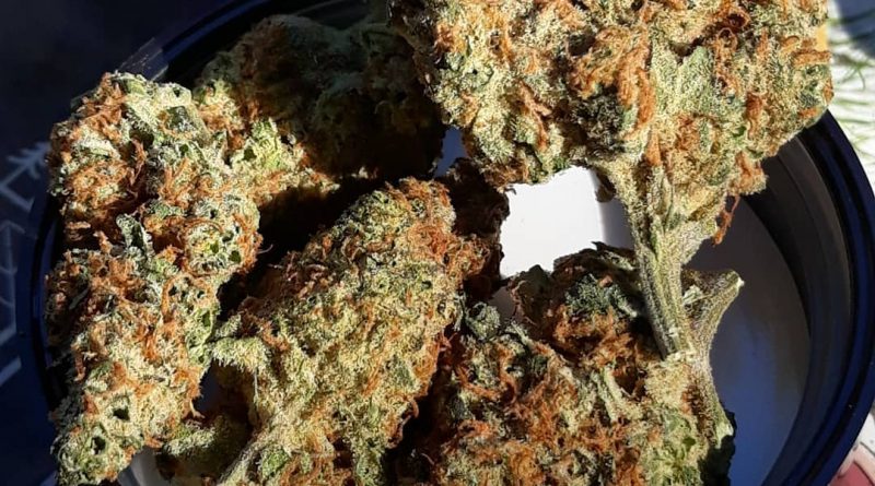 ultraviolence by eve farms strain review by sjweedreview