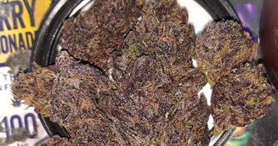velvet purps by sunroot farms strain review by sjweedreview