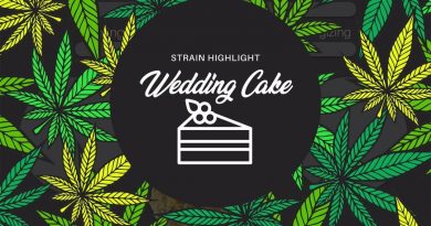 wedding cake by woodward fine cannabis strain review by ohio_marijuana