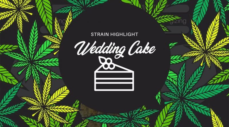 wedding cake by woodward fine cannabis strain review by ohio_marijuana