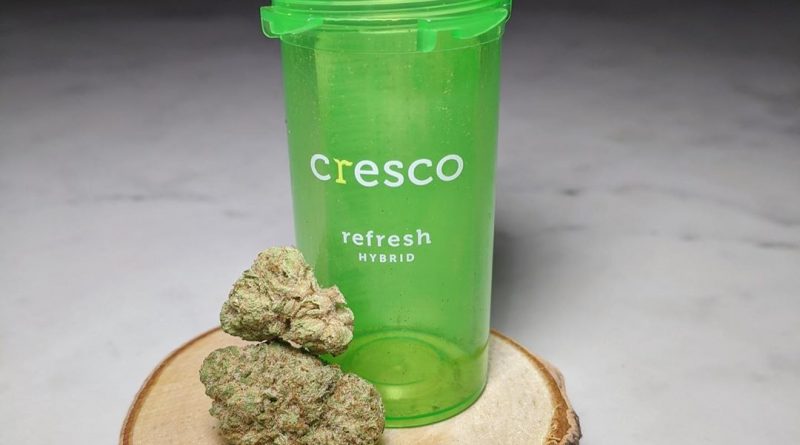 wedding crasher by cresco cannabis strain review by upinsmokesession