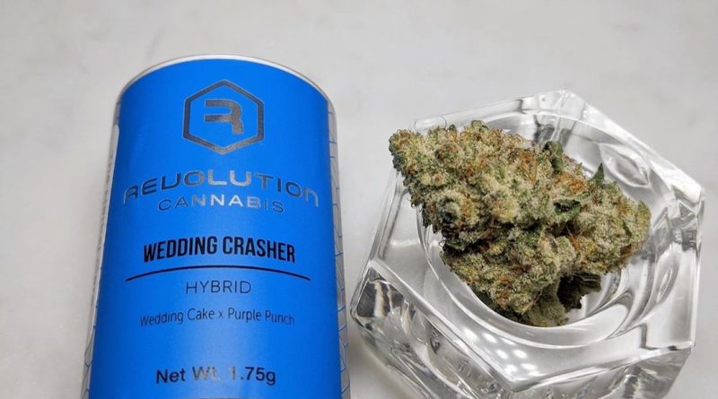 Strain Review: Wedding Crasher by Revolution Cannabis - The Highest Critic