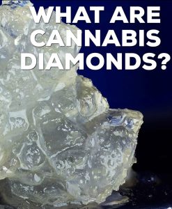 what are cannabis diamonds faq by cannaquestions picture by kushector