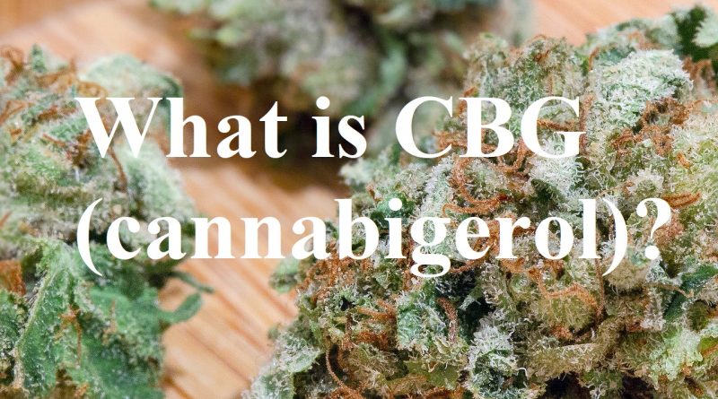 what is cbg cannabigerol