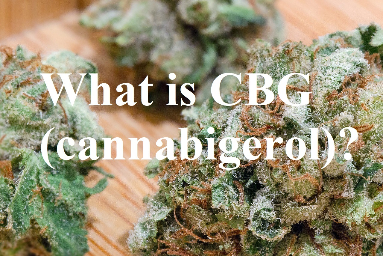 What Is CBG (Cannabigerol)? - The Highest Critic