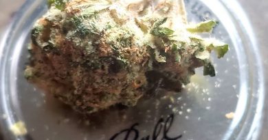 white cream by harvest house of cannabis strain review by green.is.for.hope