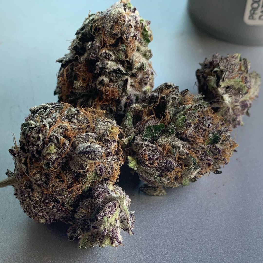 wookies gsc x white 91 strain review by trippietropical