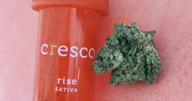 2 to 1 harlequin by cresco labs strain review by upinsmokesession