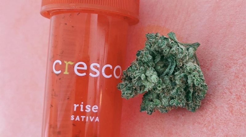 2 to 1 harlequin by cresco labs strain review by upinsmokesession