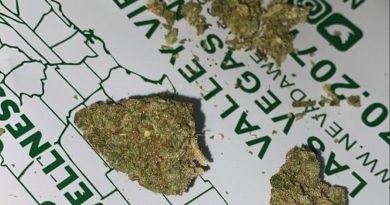 91 chem va skunk by solaris farms strain review by everythinghazee