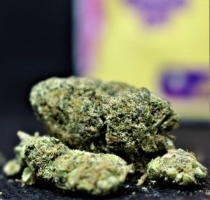 Donutzzz by Deep East Farms strain review by cannasaurus_rex_reviews 2