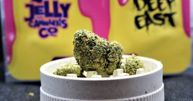 Donutzzz by Deep East Farms strain review by cannasaurus_rex_reviews