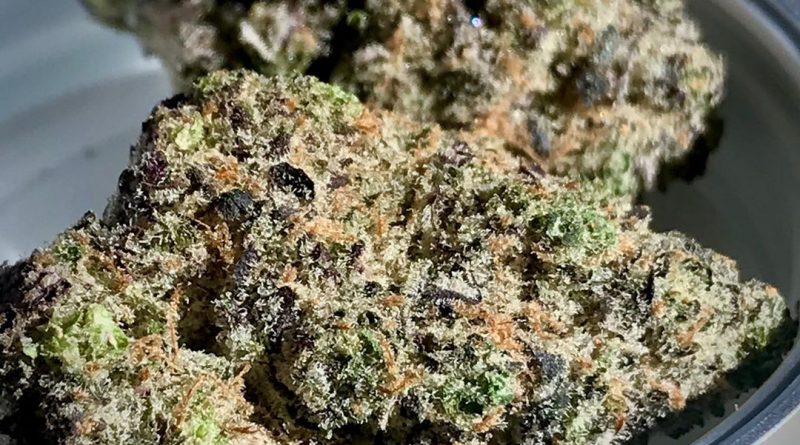 ain't one by bedford grows strain review by cannacase.420