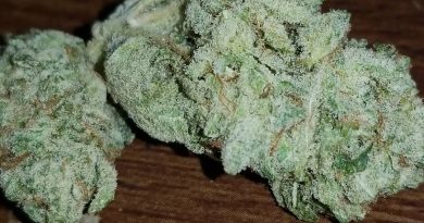 animal cookies by bc bud depot strain review by sticky_haze420