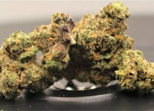 apple fritter by lumpy's flowers strain review by cannasaurus_rex_reviews 2