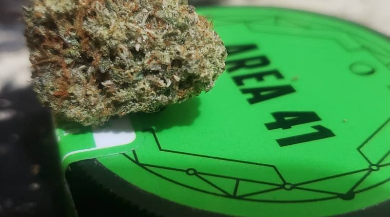 area 41 by alien labs strain review by cannasaurus_rex_reviews