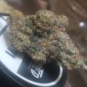 biscotti by connected cannabis co strain review by cannasaurus_rex_reviews 2