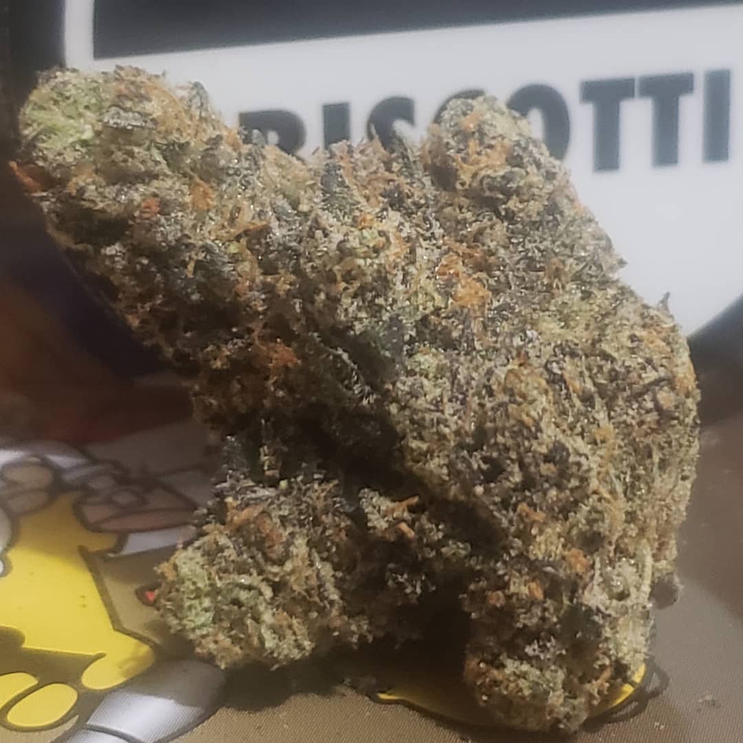 Strain Review: Biscotti (Gelato #25 x Girl Scout Cookies x Gorilla Glue