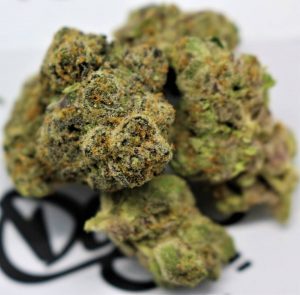 bixcotti by doja exclusive strain review by cannasaurus_rex_reviews 2