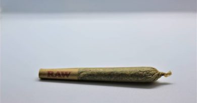 blue cookies pre-roll review by cannasaurus_rex_reviews