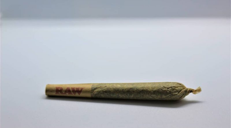 blue cookies pre-roll review by cannasaurus_rex_reviews