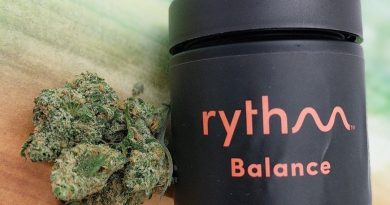 blue dream by rythm strain review by upinsmokesession