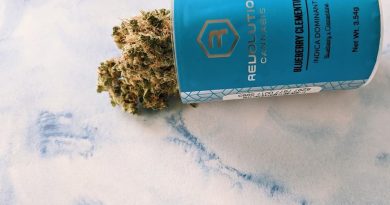 blueberry clementine by revolution cannabis strain review by upinsmokesession