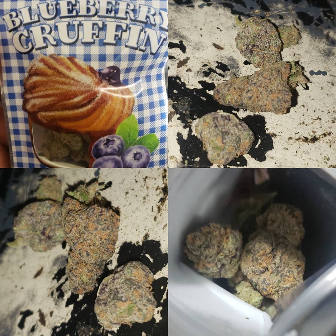Strain Review Blueberry Cruffin By Cannatique The Highest Critic