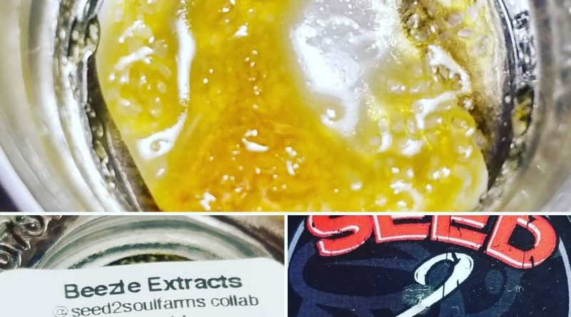 boss hog live resin by beezle extracts concentrate review by sticky_haze420