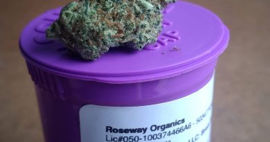 bruce banner from roseway organics strain review by pdxstoneman