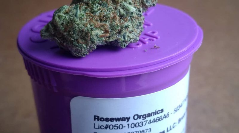 bruce banner from roseway organics strain review by pdxstoneman