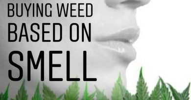 buy weed based on smell not thc percentage protip by cannaquestions