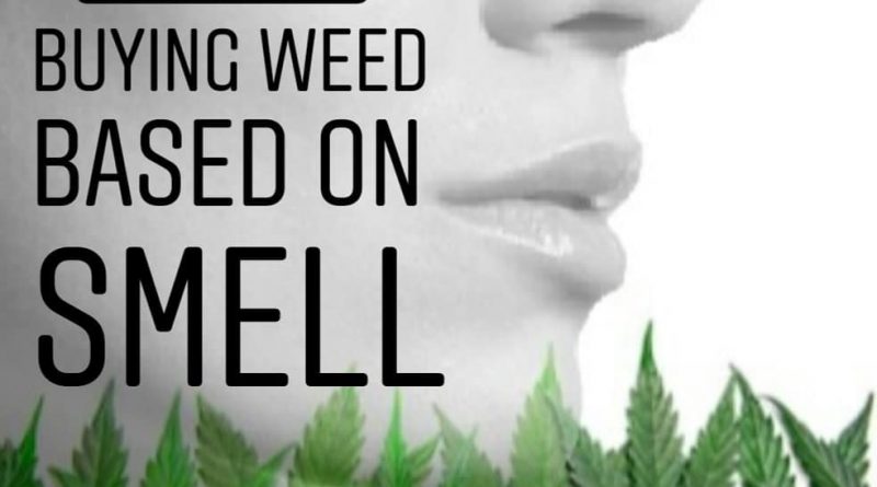 buy weed based on smell not thc percentage protip by cannaquestions