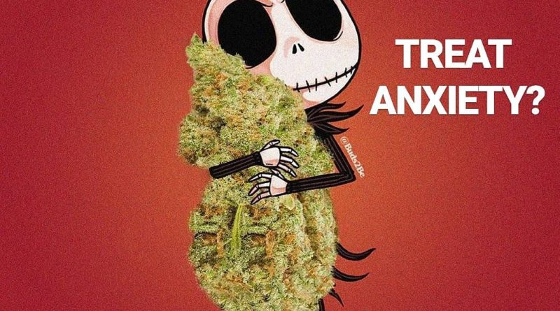 photo cred buds2be can cannabis treat anxiety cannabis faq by cannaquestions