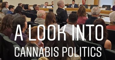 cannabis use employee rights blogpost cannaquestions