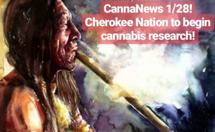 cherokee nation begins cannabis research blogpost by cannaquestions