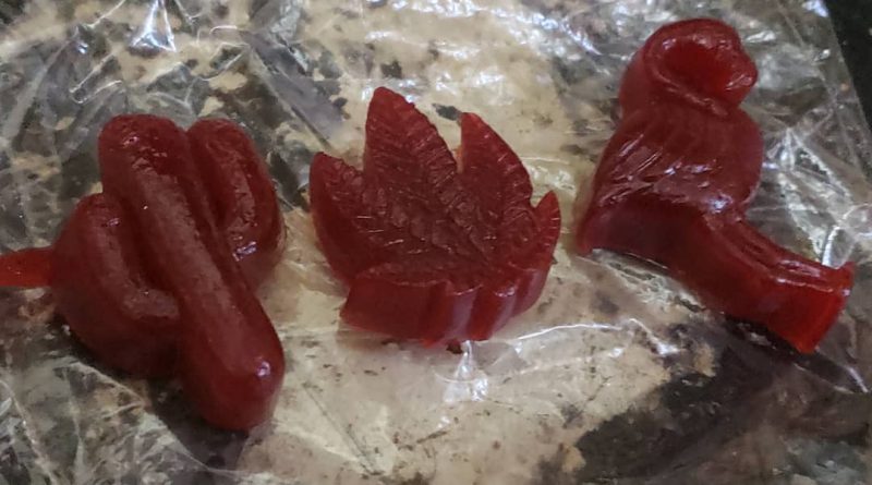 cherry gummies by shore extractor edible review by cannasaurus_rex_reviews