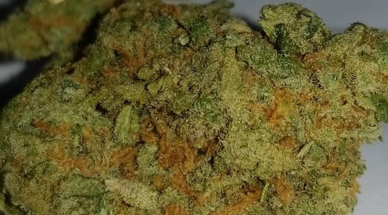cherry kush by flavour chasers strain review by sticky_haze420