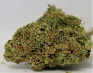 cherry lime haze by leiffa medical strain review by cannasaurus_rex_reviews 2