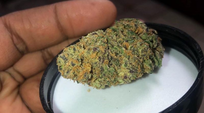cosmic cookies from nevada wellness center dispensary review by everythinghazee