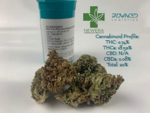 critical kush from new era pharmacological products strain review by trippietropical