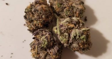dreamcatcher by greenpoint seeds strain review by scarletts_strains 2