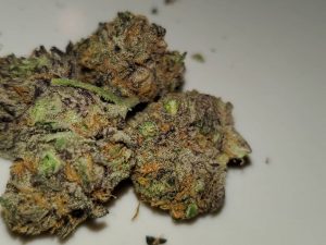 dreamcatcher by greenpoint seeds strain review by scarletts_strains