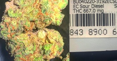 east coast sour diesel from muc florida strain review by sticky_haze420