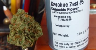 gasoline zest #5 by meraki gardens strain review by pdxstoneman