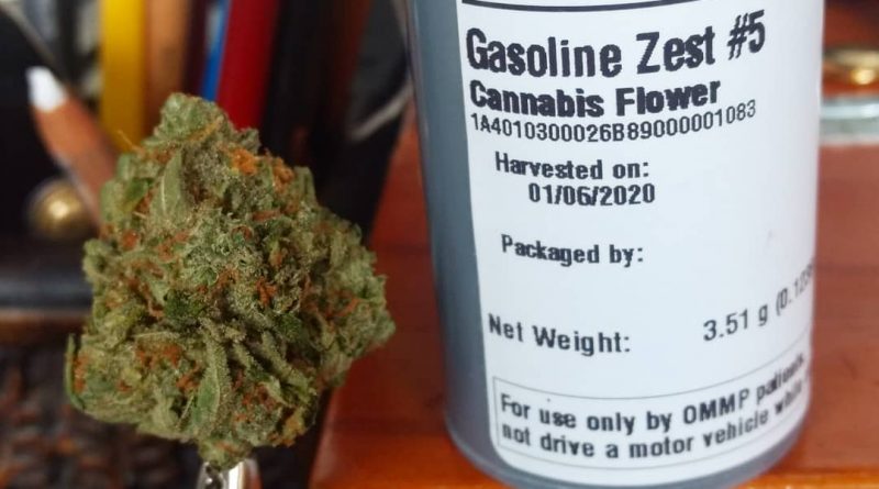 gasoline zest #5 by meraki gardens strain review by pdxstoneman