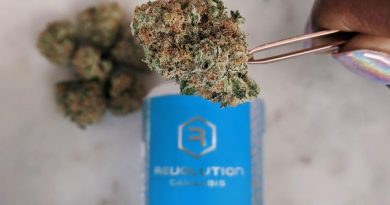 grim bastard og by revolution cannabis strain review by upinsmokesession