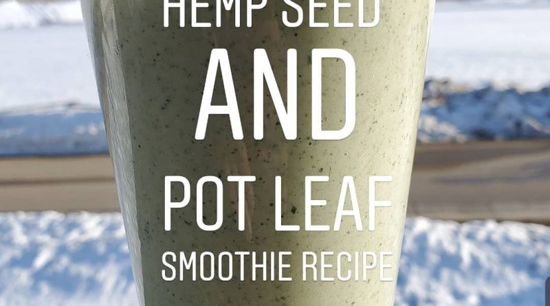 hemp seed and pot leaf smoothie recipe by cannaquestions