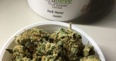 jack herer minis from trulieve strain review by indicadam